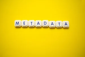 metadata là gì